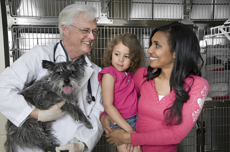 male veterinarian holding a dog next to a lady holding her small daughter