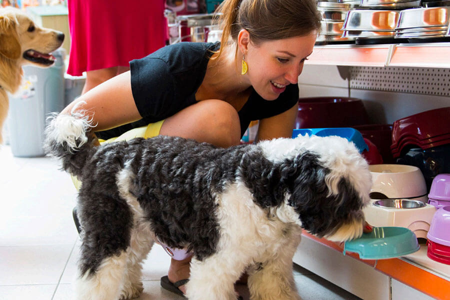 Woman in pet store with her dog looking at merchandise